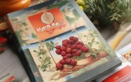 枣阳产品画册设计，文化与创意的完美融合